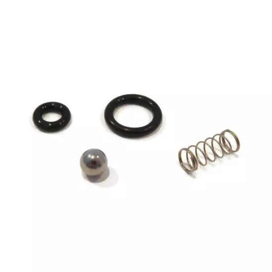 Injector Replacement Kit for Pressure Washers Compatible with FAIP Pumps