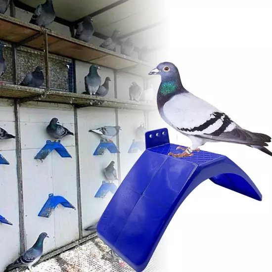 Pigeon Perch,Racing Pigeons Loft Perches Supplies,10Pcs Lightweight Dove Rest St