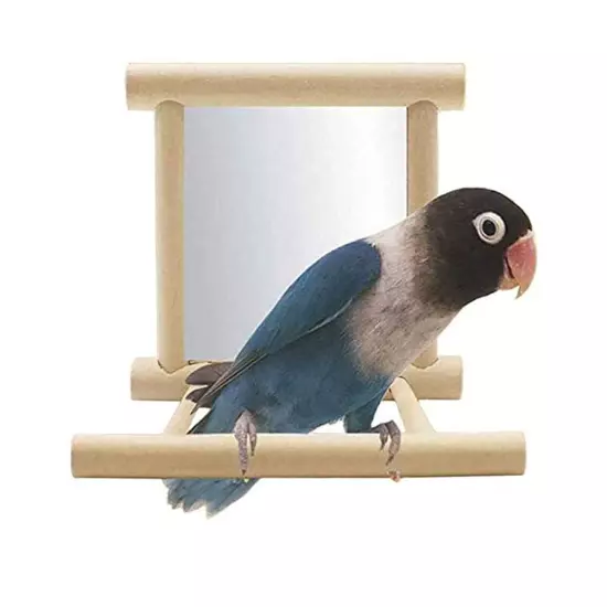 Bird Toy for Parrot Parakeets Conures Cockatiels Cage Swing Wooden Mirror Fun...