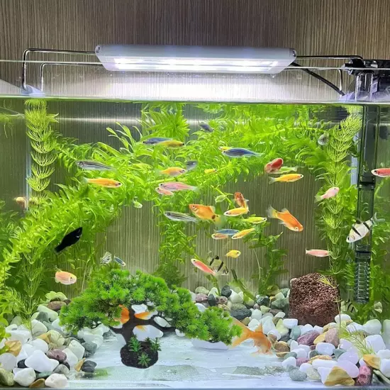 Fish Tank Simulation Water Plan Fish Tank Decoration, Sand Table Deco