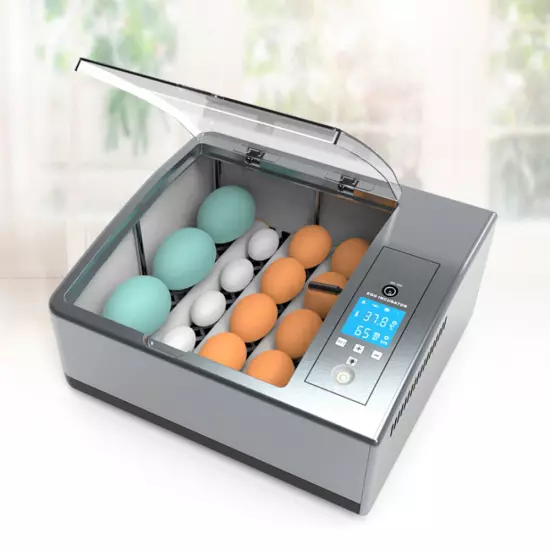 16 Chicken Egg Incubator Fit Hatching Eggs with Automatic Turner Temp Control US