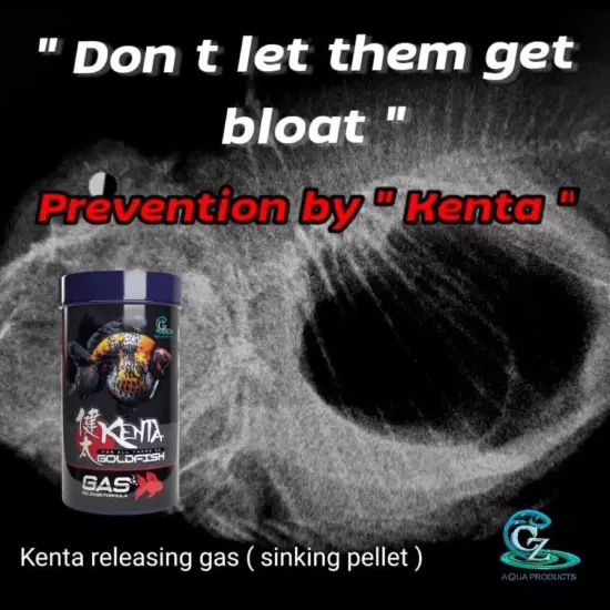 1 Pack Kenta Releasing Gas Formula For Ornamental Fish (Sinking Pellets) 150g