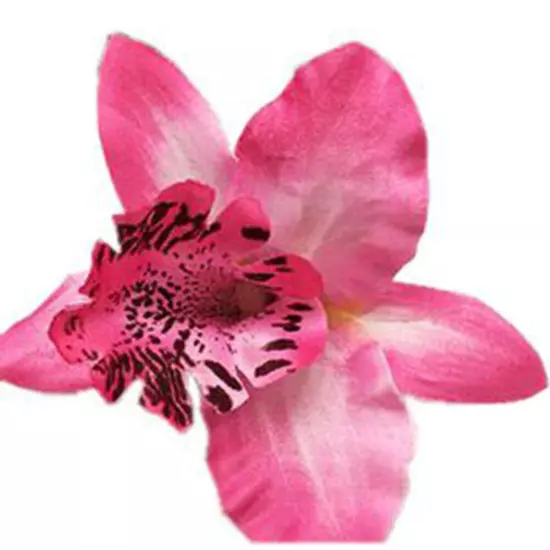 Womens Orchid Flower Wedding Bridal Hair Clip Hairpin Brooch Pin Party Barrette✔