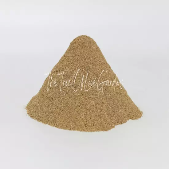 Angelica Root Powder | Radix Archangelicae | Natural Herbs | Dried Herbs | Botan