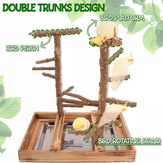 Natural Wood Bird Perch Stand Removable Tray 2 Stainless Steel Cups Playground