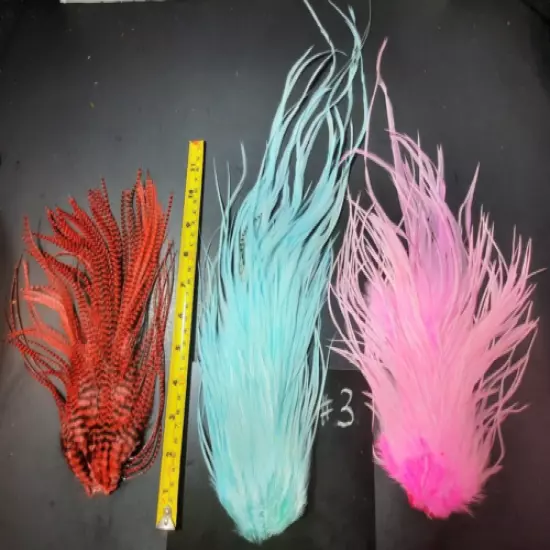 Lt. Blue Pink Red Grizzly DRY FLY SADDLE HACKLE Rooster FLY TYING FEATHERS #3