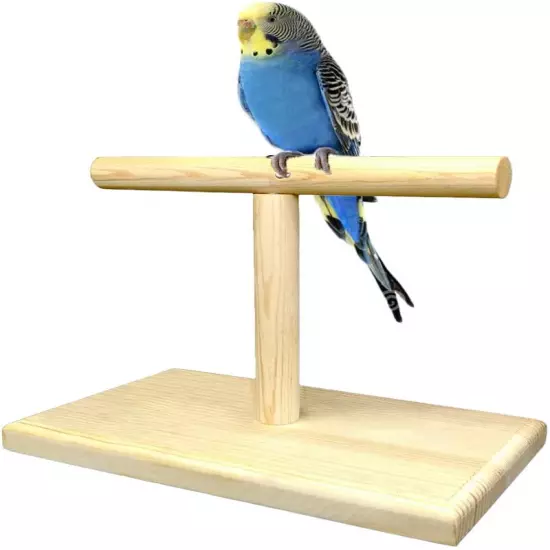 Bird Training Stand, Portable Tabletop Bird Perch Spin Training Perch for Parake