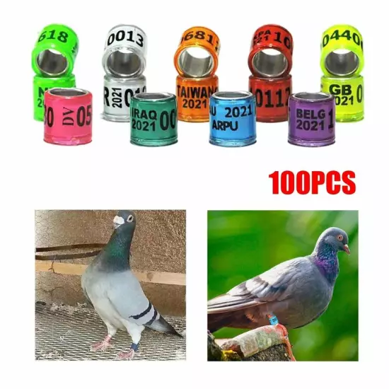 100pcs x 2024 Year Aluminum Bird Racing Pigeon Leg Rings Bands for Poultry US