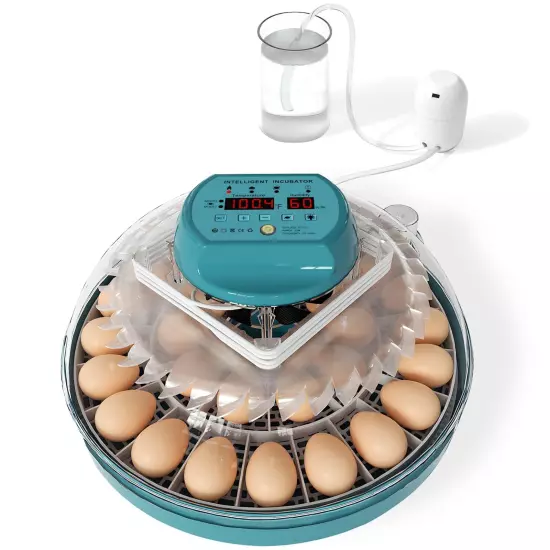 Egg Incubator Intelligent Incubator for Chicken Eggs with Automatic Humidity C