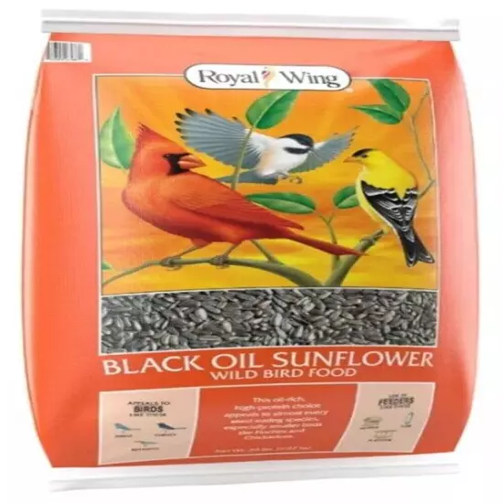 Black Oil Sunflower Wild Bird Food 20 or 40 LBS