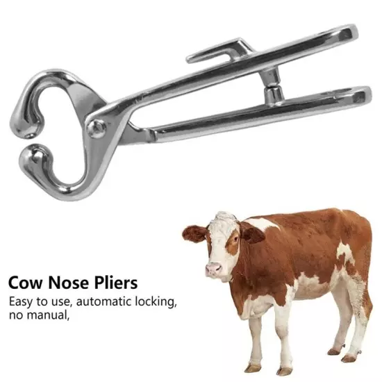 Cattle Nose Livestock Stainless Steel Livestock Bull Cow Nose Lead Cattle4593