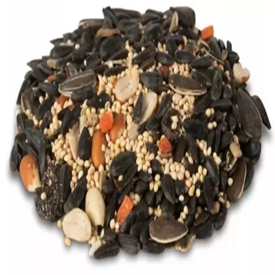 Royal Wing Fruit and Nut Mix Wild Bird Food 7, 20 or 40 LBS