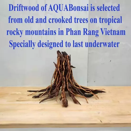 Aquarium tree stump driftwood bonsai hardscape aquascaping wood fish tank plants