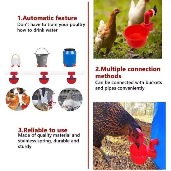 Automatic Cups Chicken Water Cup Bowl Feeder Drinker Waterer Poultry Chook Bird