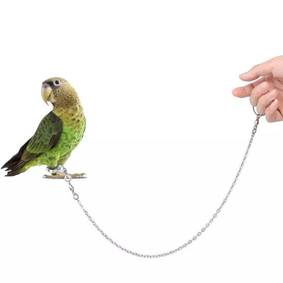 Parrot Foot Chain Stainless Steel Birds Anklet Ring Leads Fit For Pet Training