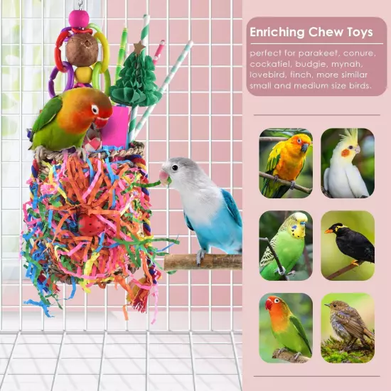 Bird Toys, Parakeet Toys Bird Grass Basket Cockatiel Forgaging Toys Conure Sh...