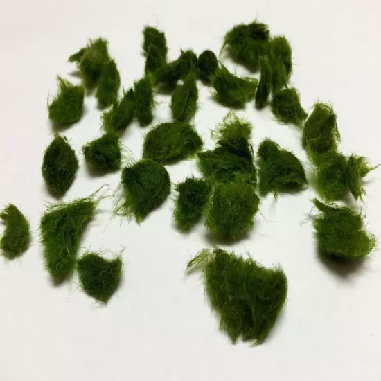 Marimo Moss 100 Pieces 0.25-0.5 inch Cladophora Live Plant Aquarium in USA.