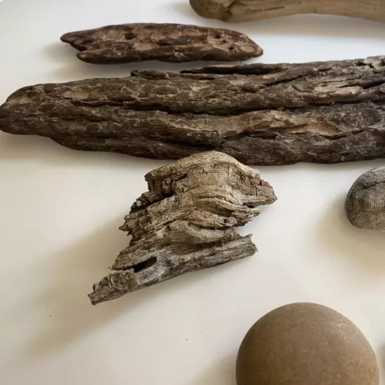 Driftwood Bark Shells For Terrarium ter4 zz