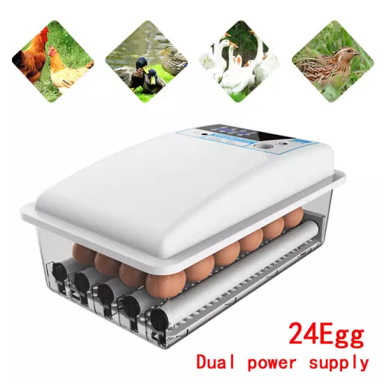 Auto Turning Digital Incubator Automatic Hatch Chicken Duck Egg Turner 24 Eggs