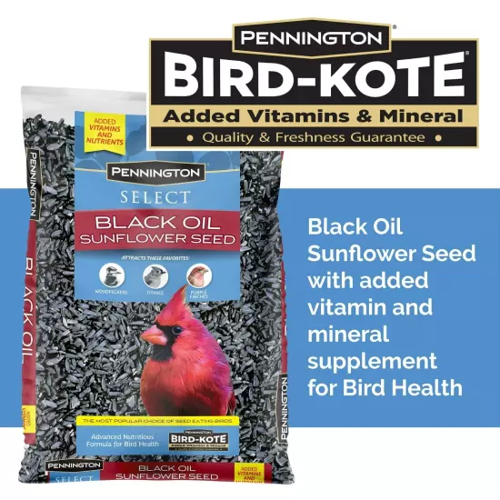 Pennington Select Black Oil Sunflower Seed Dry Wild Bird Feed, 10 lb. Bag 1 Pack