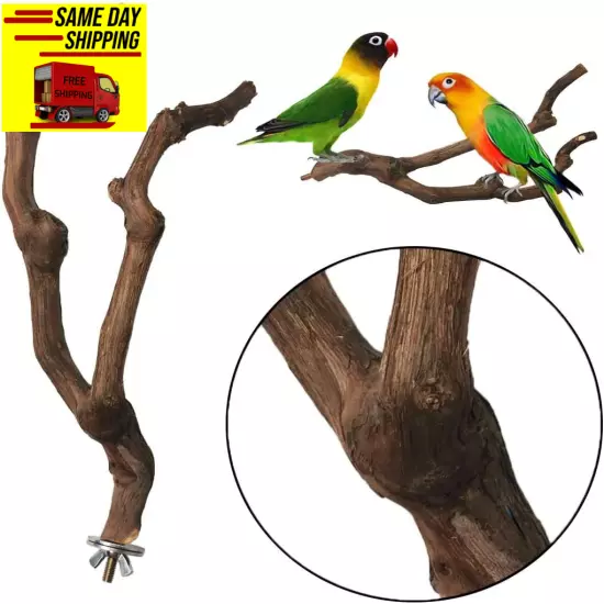 Kathson Natural Parrot Perch Bird Stand Pole Wild Grape Stick Paw Grinding Fork 