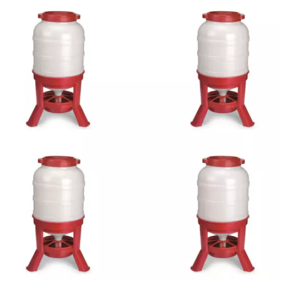 Little Giant 60 Pound Feed Heavy Duty Poultry Chicken Gravity Feeder (4 Pack)