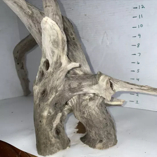 Driftwood Taxidermy Beach Lake Mountain House Wedding Reception Centerpiece