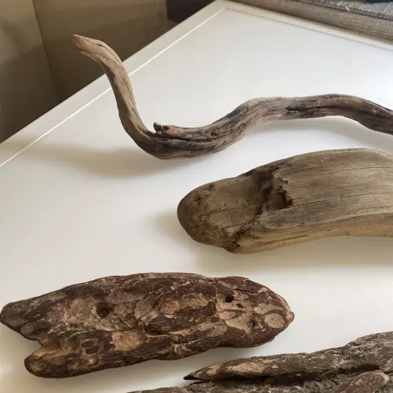 Driftwood Bark Shells For Terrarium ter4 zz