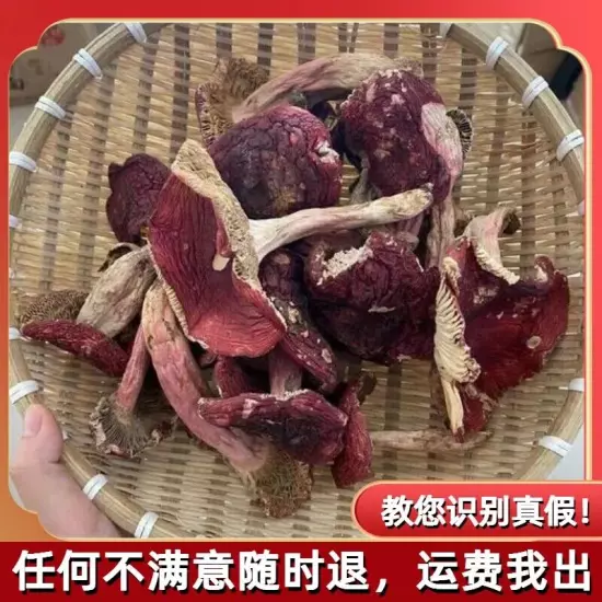 Wild red mushroom dried goods Fujian Zhenghong mushroom