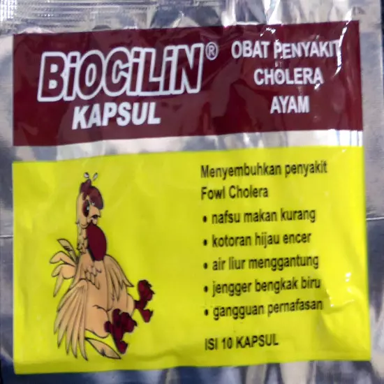 20 Capsules Biocilin for Chicken/Pigeon/Dove FOR Cholera/CRD