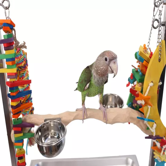 Medium Stainless Steel Parrot Play Stand - For Amazon, African Grey, Cape Parrot