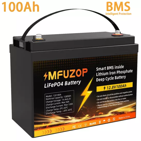 12V 100AH LiFePO4 Deep Cycle Lithium Battery for RV Marine Off-Grid Solar System