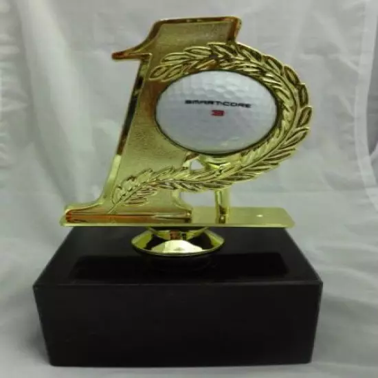 HOLE IN ONE GOLF TROPHY AWARD PLAQUE HOLDS GOLF BALL FREE ENGRAVING free ship