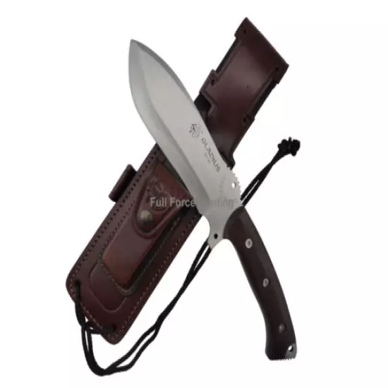 New J&V Adventure Knives Gladius 12" Cocobolo Fixed Blade Survival Hunting Knife