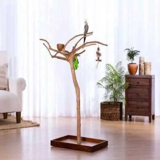 4' Coffeewood Parrot Tree Stand bird perch PLAY STAND GYM