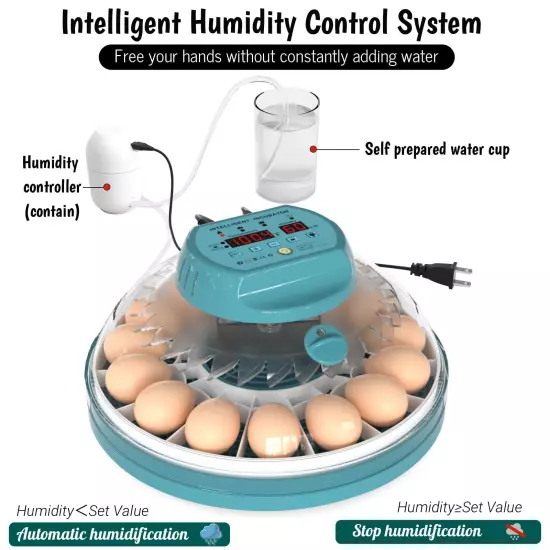 Egg Incubator, Intelligent Incubator for Chicken Eggs with Automatic Humidity...