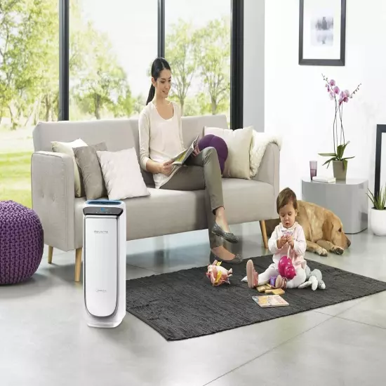 Rowenta Intense Pure Air PU4020, Air Purifier, with pollution level 60m purific