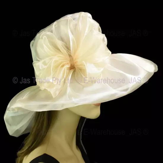 Spring Race Carnival Derby Day Church Wedding Women Ladies Organza Evening Hat