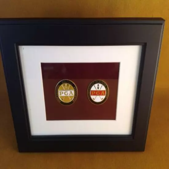 Framed - PGA - TWO MEDALLION SET -TOURNAMENT PLAYERS DIVISION + PRO GOLF ASSOC! 