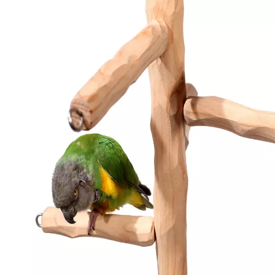 Deluxe Tabletop Parrot Climbing Tree - Tabletop Tree for Small to Medium Parrots