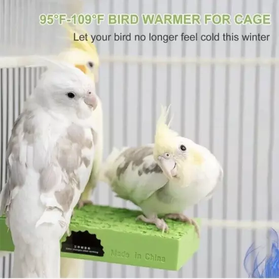 NEW Bird Constant Temperature Station Board Heater Warmer for Cage NO ADAPTER