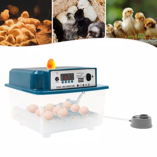 Automatic 16 Eggs Incubator Brooding Machine for Hatching Eggs Chicken Quail NEW