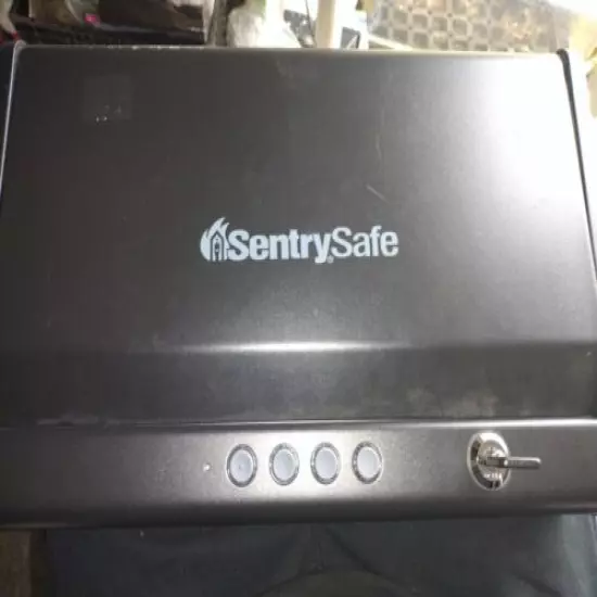 SentrySafe QAP2E Digital Pistol Safe Two Handgun Capacity 