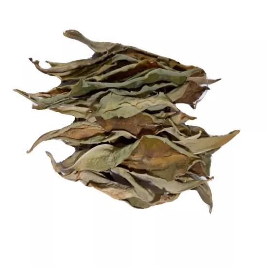 Ceylon Organic Insulin Plant Dried Leaves dried ( Costus Igneus ) Thebu