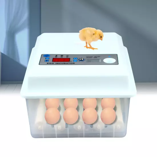 16 Egg Incubator Digital Automatic Temperature Control Auto Turning Hatching 30W