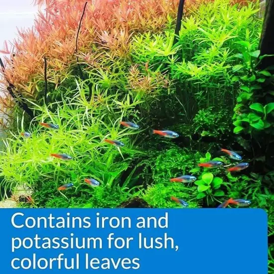 API Leaf Zone Aquarium Plant Food 9 oz.