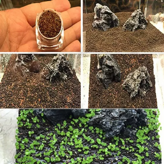 Aquarium Plant SeedsAquatic Hair Grass Carpet Water Grass Fish Tank Easy PlantA□