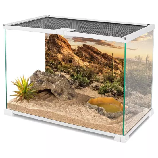 Reptile Habitat Background Blue Sky Oasis Cactus Sun and Desert Terrarium Bac...