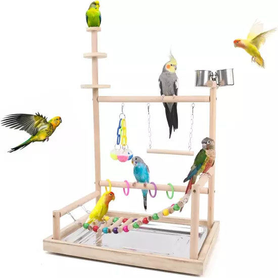 Wooden Bird Playstand-Sturdy Stable and Safe Parrot Play Gym for Parakeets Afric