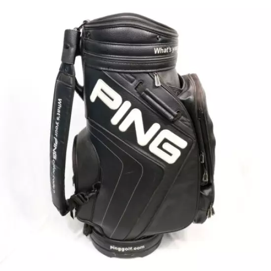 Nice Ping Large Demo Bag